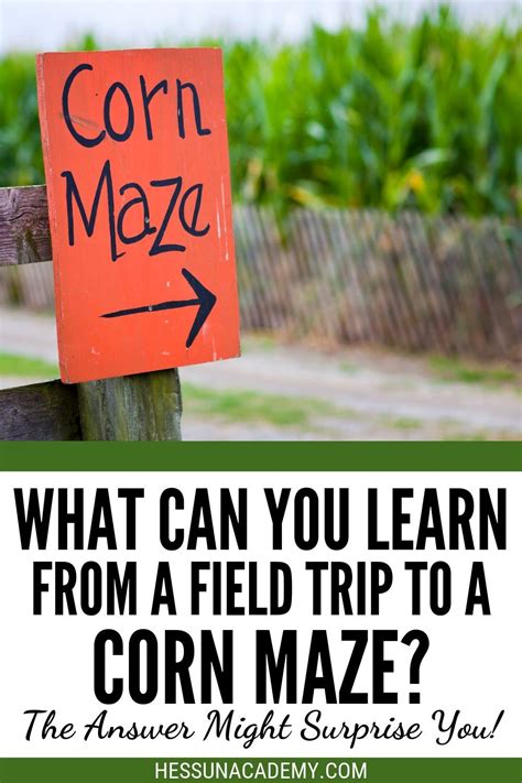 Fun Fall Unit Study About Corn Mazes | Classroom field trip, Field trip, Homeschool field trips