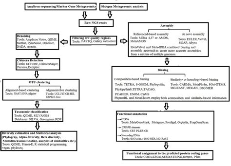 Flow diagram for the analysis of Metagenomics data. | Download Scientific Diagram