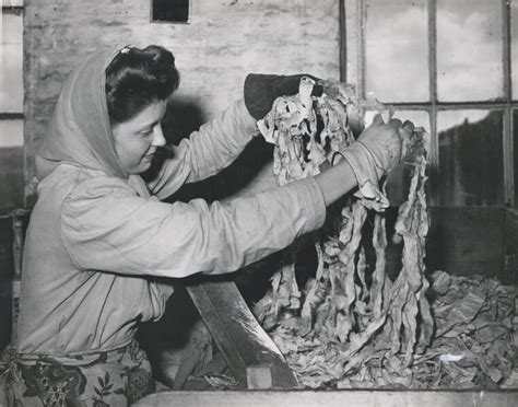 The use of rags in paper making – Ivybridge Heritage