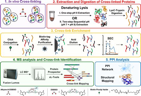 Cleavable Cross-Linkers And Mass Spectrometry For The, 59% OFF