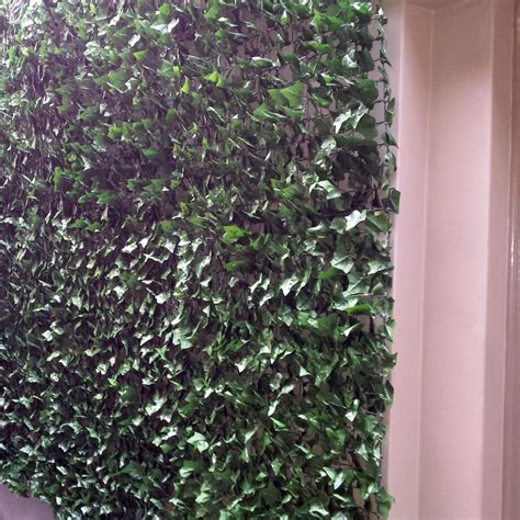 Ivy Wall Interior - Artificial screen - Silk Trees and Plants