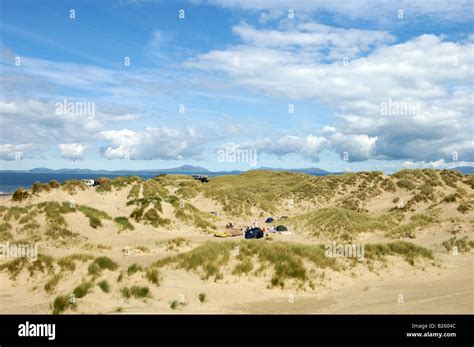 People camping amongst the sand dunes on Shell Island, North Wales ...