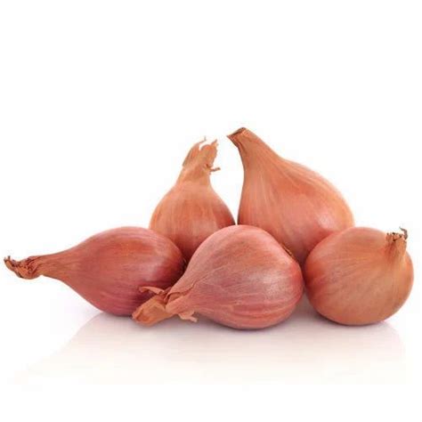 Shallot Onion at Rs 10/kilogram | Shallots Onion in Nashik | ID ...