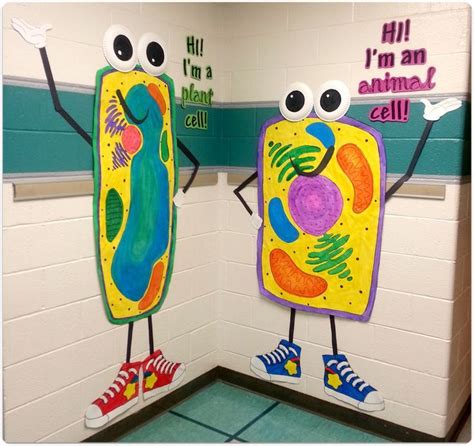 Great idea! | Science classroom decorations, Science classroom, Biology ...