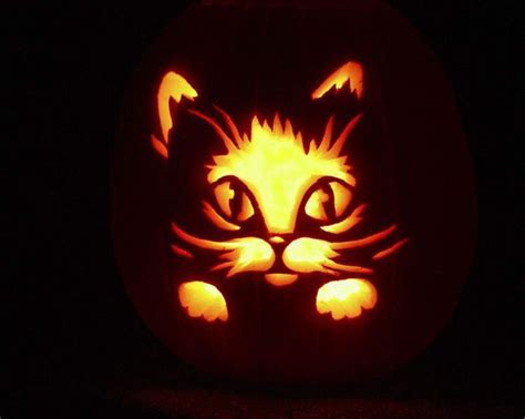 Cat Face With Pumpkin Background | Pumpkin carving, Cat pumpkin carving ...