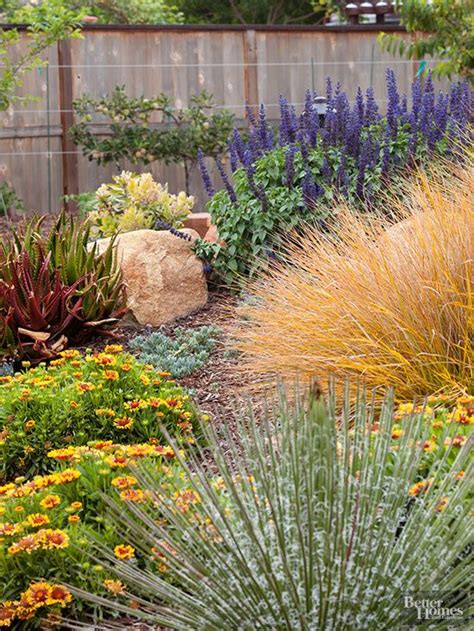 Xeriscape Garden Plants - G4rden Plant