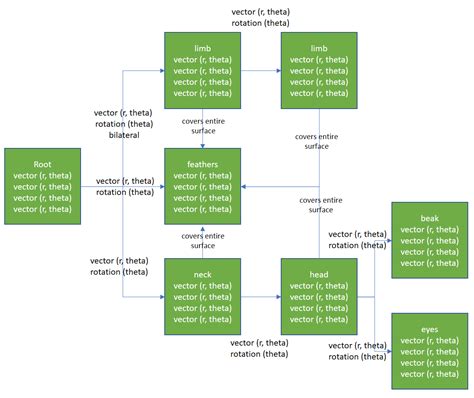 Morphology Schematic – evo.devo