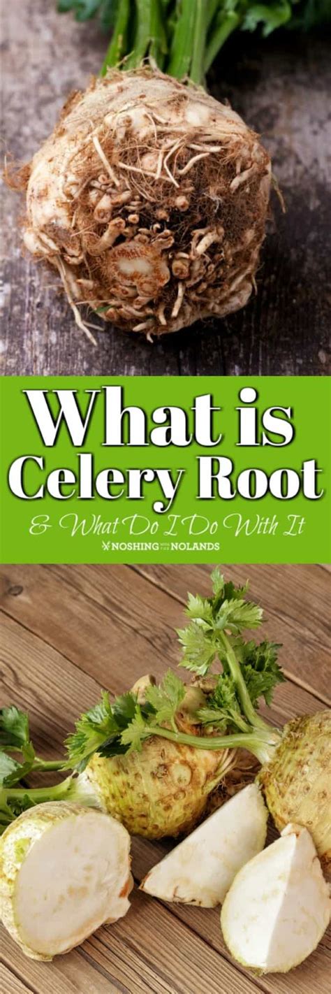 What is Celery Root {Celeriac} and What Do I Do with It?