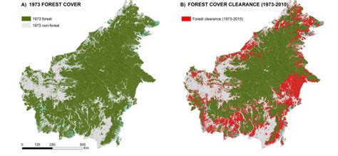 Nearly a Third of Borneo's Rainforest Is Gone