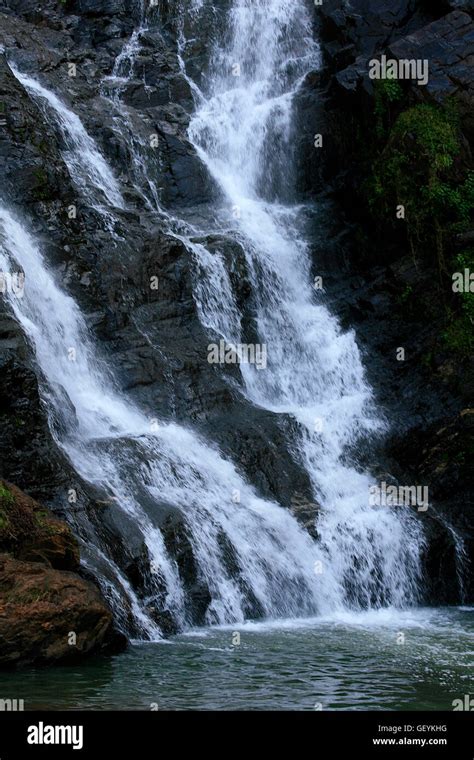 Witpoortjie Waterfall, Walter Sisulu National Botanical Gardens, Roodepoort, Johannesburg ...