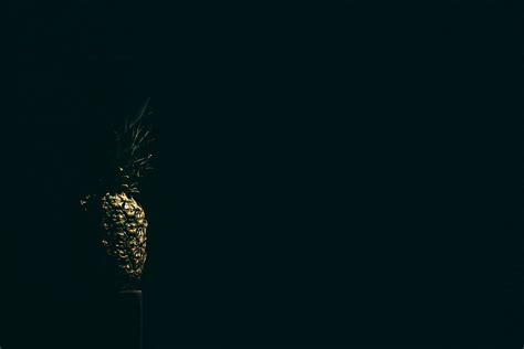 HD wallpaper: Pineapple, dark, exotic, fruit, minimal, minimalistic ...