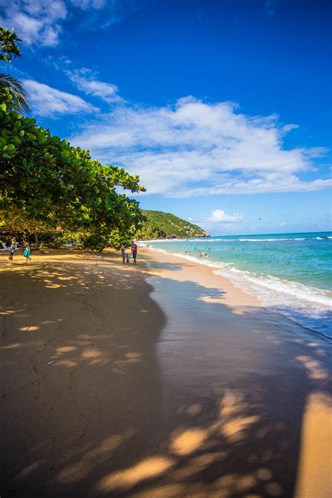 Beach Hotel in Haiti - Cormier Beach Resort Haiti | Beach resorts ...