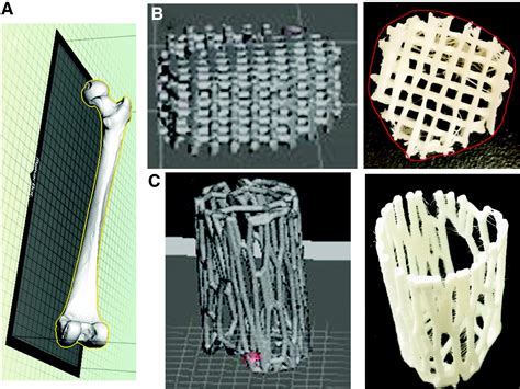 Printing With Cells - Growing in Success - 3D Printing Industry