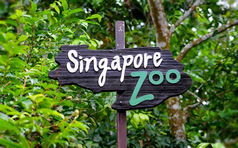 Biglietti per lo zoo di Singapore - Fino al 10% di sconto