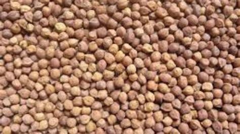 Kala Chana Nutrition per 100g: Protein, Calories and Benefits