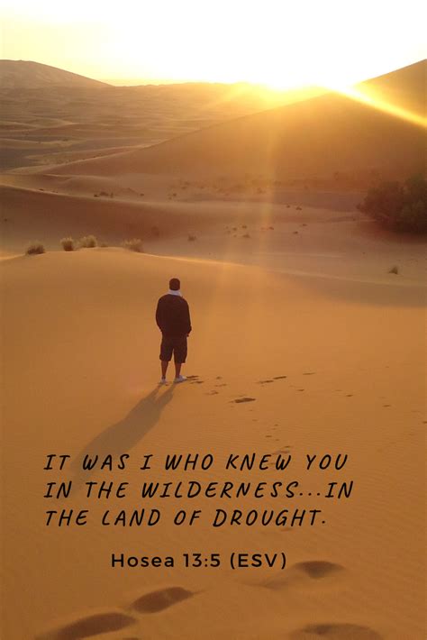 Through the prophet Hosea we are reminded that it is God who cares for us in the 'Wilderness ...