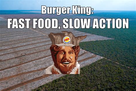 Burger King Commits to Stop Destroying Rainforests…in 13 Years - Mighty Earth