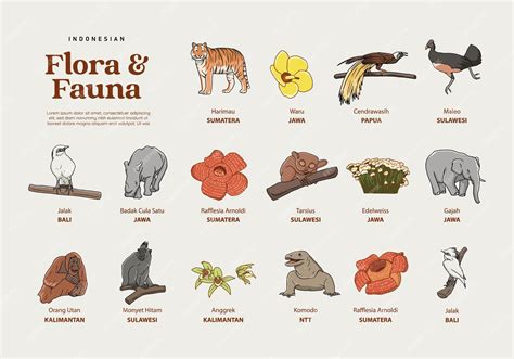 Premium Vector | Isolated Hand drawn various Indonesian flora and fauna ...