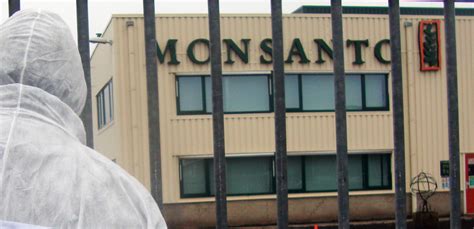 Hundreds of lawsuits against Monsanto are moving forward