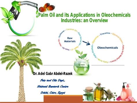 Palm Oil and its Applications in Oleochemicals Industries: an Overview