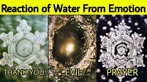 Shape of Water | Masaru Emoto's Water Experiment | Hidden Messages in Water | Hindi - YouTube