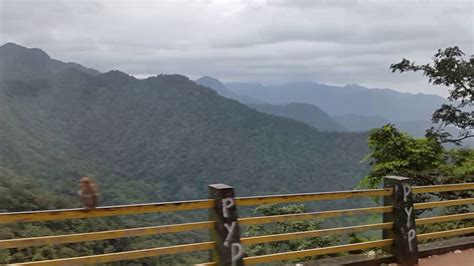 Wayanad Churam |Monsoon Beauty|Wayanad Road Drive-Excellent|Monkeys|kerala - YouTube