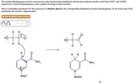 SOLVED: The alcohol dehydrogenase reaction interconverts ethyl alcohol and acetaldehyde and ...