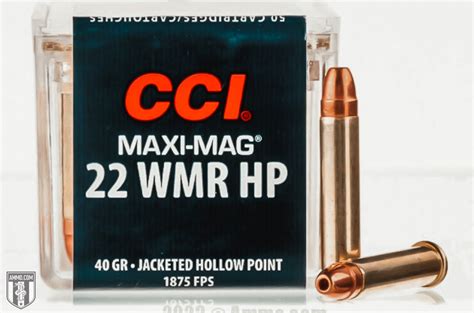 Top 5 Best 22 WMR Ammo Recommended by Experts