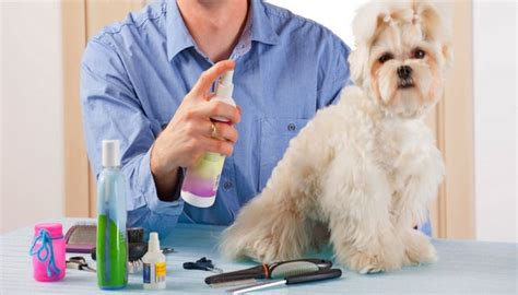 5 Best Dog Cologne and Dog Deodorant Brands of 2020 (Non-toxic)