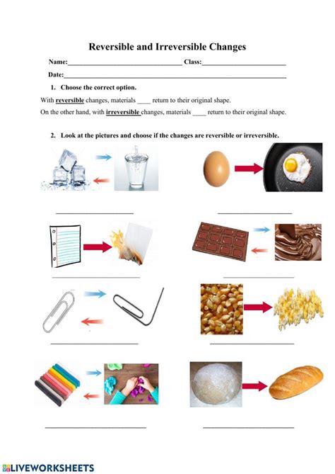 Reversible And Irreversible Changes