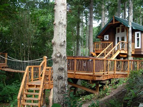 39 Amazing Tree Houses Everyone Wished They Had Growing Up