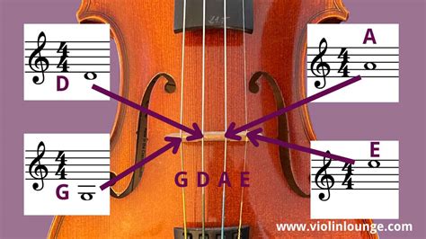 Online Violin Lessons by Violinist Zlata