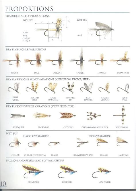 fly tying: proportions of the fly - H ada Googlom | Fly tying, Fly ...