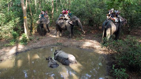 Chitwan National Park - Mountain Routes