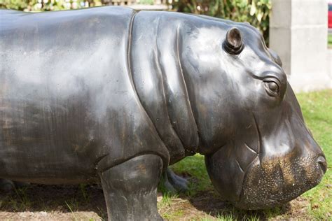 Bronze Hippo - Truly amazing life-size garden statue