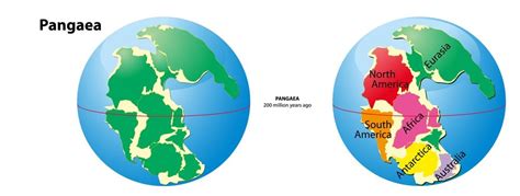 Permian Period: Climate, Animals & Plants | Live Science