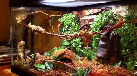 My goal is to have a variety of creative vivariums including a large aquarium and possibly ...