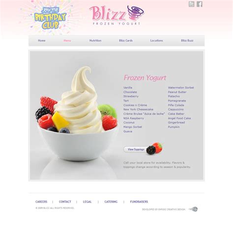 Blizz Frozen Yogurt - Enfuse Creative Design