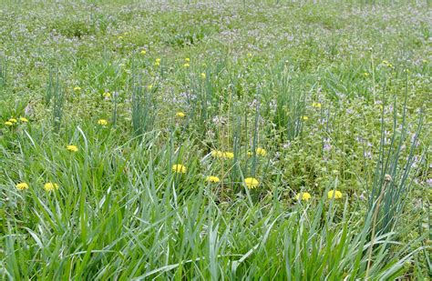 Late Winter at Green Pastures Farm — FLORA & FIBER