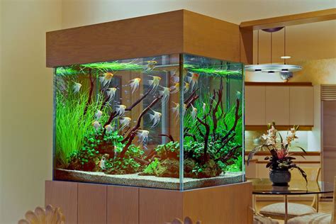 Create an Aquatic Oasis with a Small Aquarium Design for Your Living ...