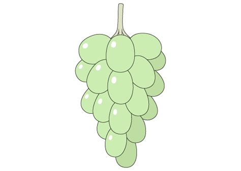 How to Draw Grapes Step by Step - EasyLineDrawing