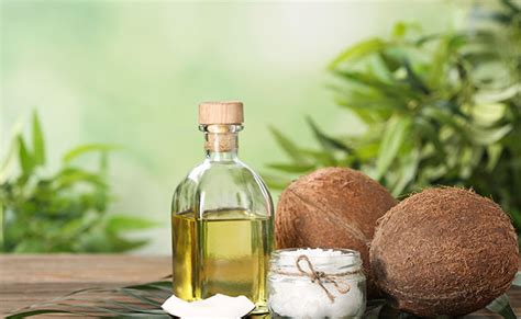 Top 48 image coconut oil growing hair - Thptnganamst.edu.vn