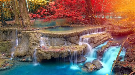 Yellow Red Autumn Trees On Stream Waterfall During Daytime 4K HD Nature Wallpapers | HD ...