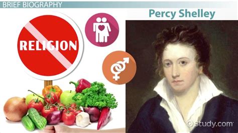 To a Skylark by Percy Shelley | Summary, Analysis & Symbolism - Lesson ...