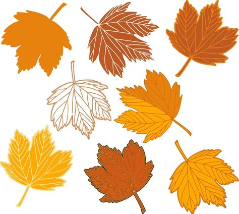 Autumn maple leaves set 11893634 Vector Art at Vecteezy