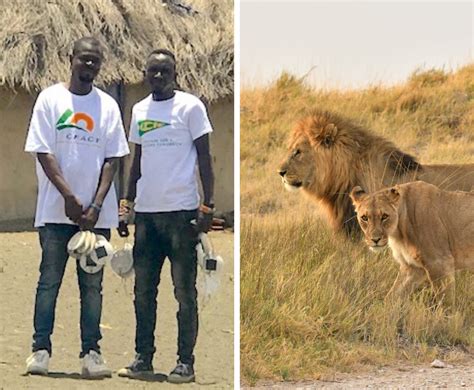 CFACT’s lion conservation project continues to grow brighter – CFACT