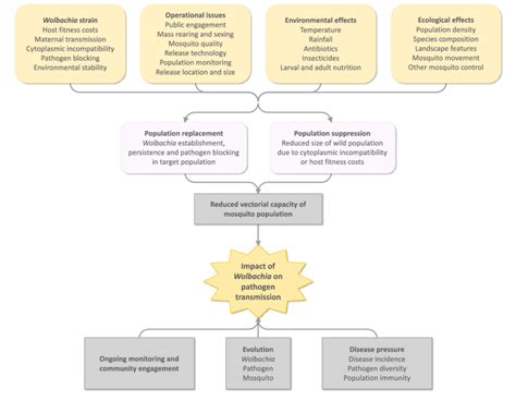 Factors affecting the success of Wolbachia releases. This figure has ...