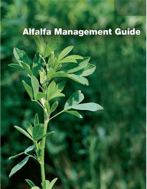 Alfalfa Management Guide