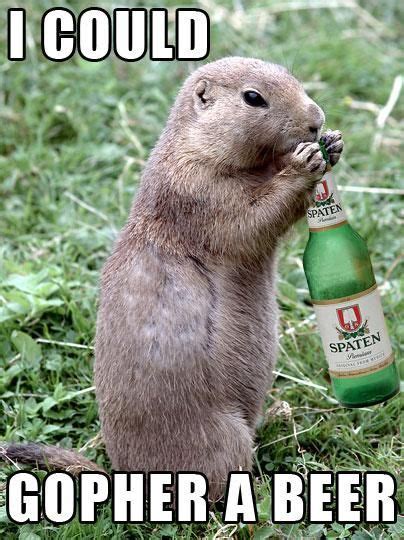 I could gopher THAT beer. I recall it being quite tasty brand... Funny ...