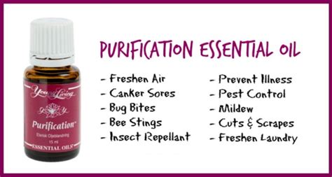 Purification Essential Oil | Our Wonderful World Media